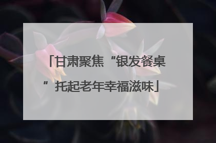 甘肃聚焦“银发餐桌”托起老年幸福滋味